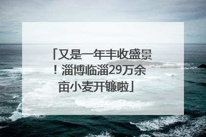 又是一年丰收盛景！淄博临淄29万余亩小麦开镰啦