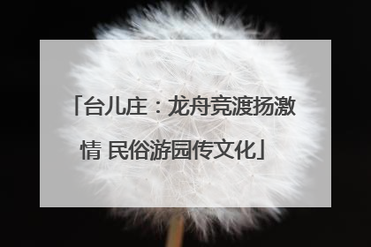 台儿庄：龙舟竞渡扬激情 民俗游园传文化