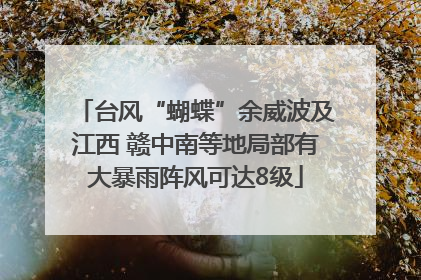 台风“蝴蝶”余威波及江西 赣中南等地局部有大暴雨阵风可达8级