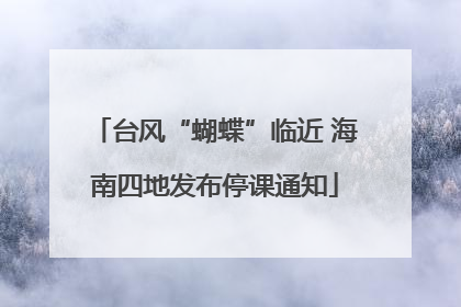 台风“蝴蝶”临近 海南四地发布停课通知