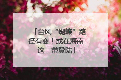 台风“蝴蝶”路径有变！或在海南这一带登陆