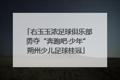 右玉玉浓足球俱乐部勇夺“奔跑吧·少年”朔州少儿足球桂冠