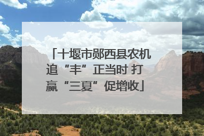 十堰市郧西县农机追“丰”正当时 打赢“三夏”促增收