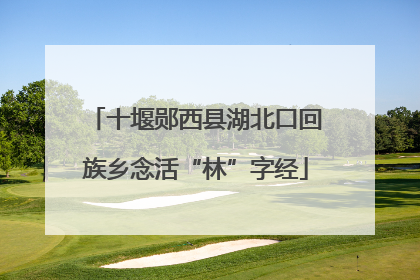 十堰郧西县湖北口回族乡念活“林”字经