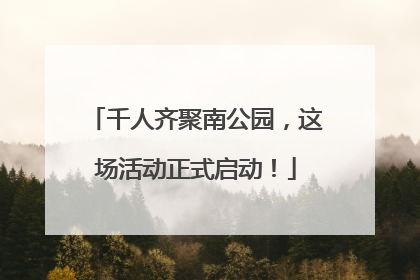 千人齐聚南公园，这场活动正式启动！