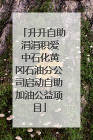 升升自助 涓涓积爱 中石化黄冈石油分公司启动自助加油公益项目