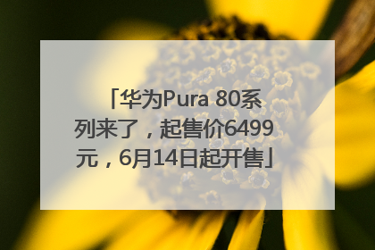 华为Pura 80系列来了，起售价6499元，6月14日起开售