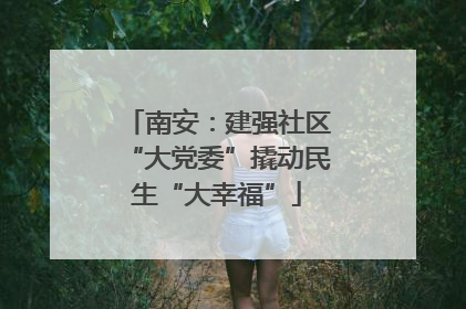 南安：建强社区“大党委”撬动民生“大幸福”