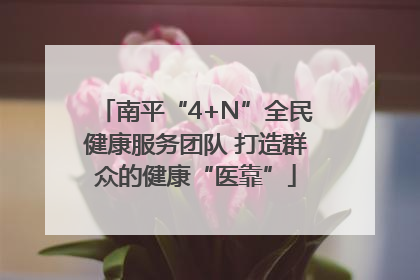 南平“4+N”全民健康服务团队 打造群众的健康“医靠”