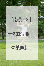 南茶北引→8亩荒地变茶园