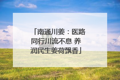 南通川姜：医路同行川流不息 养润民生姜荷飘香