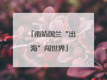 南靖国兰“出海”闯世界