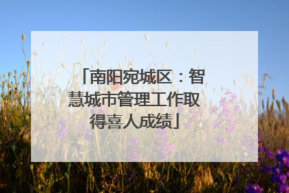 南阳宛城区：智慧城市管理工作取得喜人成绩