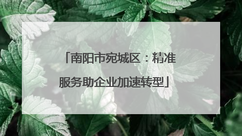 南阳市宛城区：精准服务助企业加速转型