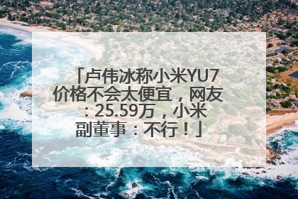 卢伟冰称小米YU7价格不会太便宜，网友：25.59万，小米副董事：不行！