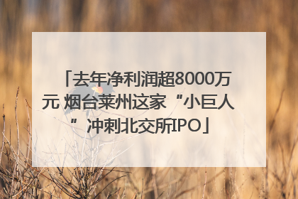 去年净利润超8000万元 烟台莱州这家“小巨人”冲刺北交所IPO