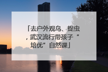 去户外观鸟、捉虫，武汉流行带孩子“培优”自然课