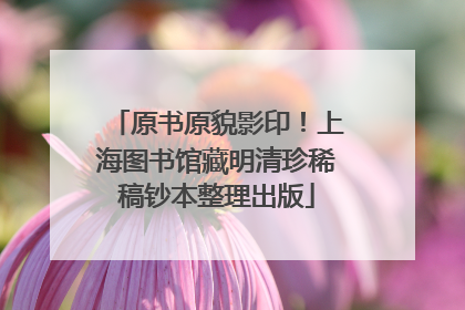 原书原貌影印！上海图书馆藏明清珍稀稿钞本整理出版
