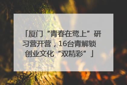 厦门“青春在鹭上”研习营开营，16台青解锁创业文化“双精彩”