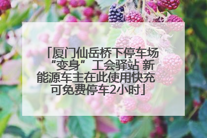 厦门仙岳桥下停车场“变身”工会驿站 新能源车主在此使用快充 可免费停车2小时