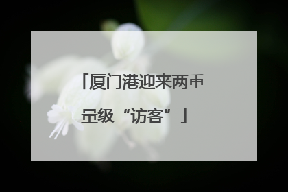 厦门港迎来两重量级“访客”