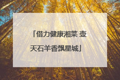 借力健康湘菜 壶天石羊香飘星城