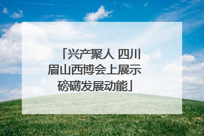 兴产聚人 四川眉山西博会上展示磅礴发展动能