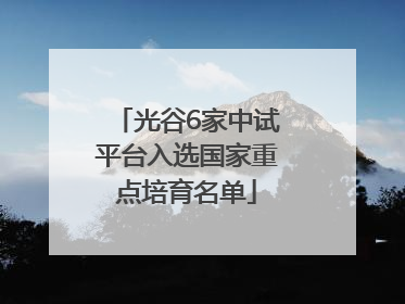 光谷6家中试平台入选国家重点培育名单
