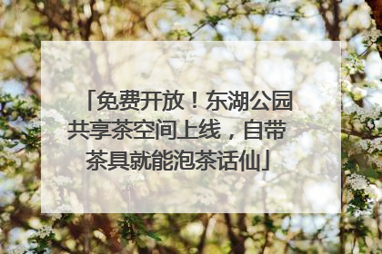 免费开放！东湖公园共享茶空间上线，自带茶具就能泡茶话仙