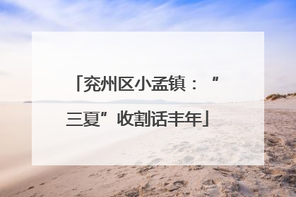 兖州区小孟镇：“三夏”收割话丰年
