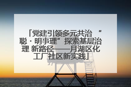 党建引领多元共治 “聪・明事理”探索基层治理 新路径——月湖区化工厂社区新实践