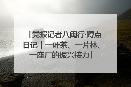 党报记者八闽行·蹲点日记｜一叶茶、一片林、一座厂的振兴接力