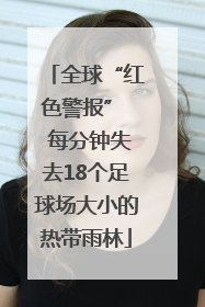 全球“红色警报”  每分钟失去18个足球场大小的热带雨林