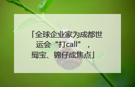全球企业家为成都世运会“打call”，蜀宝、锦仔成焦点