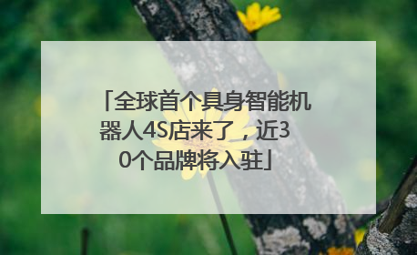 全球首个具身智能机器人4S店来了，近30个品牌将入驻