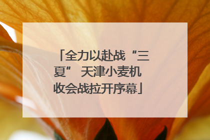 全力以赴战“三夏” 天津小麦机收会战拉开序幕