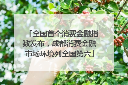 全国首个消费金融指数发布，成都消费金融市场环境列全国第六