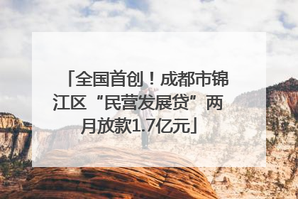 全国首创！成都市锦江区“民营发展贷”两月放款1.7亿元