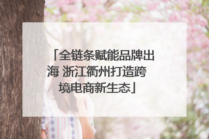 全链条赋能品牌出海 浙江衢州打造跨境电商新生态