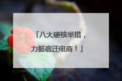 八大硬核举措，力挺宿迁电商！