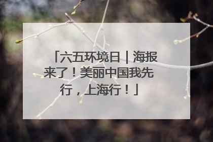 六五环境日｜海报来了！美丽中国我先行，上海行！
