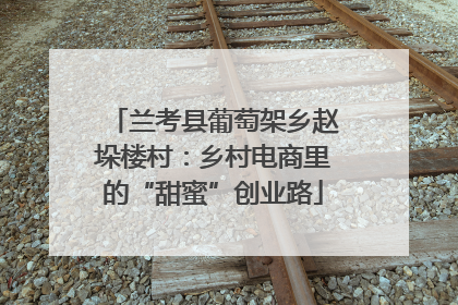 兰考县葡萄架乡赵垛楼村：乡村电商里的“甜蜜”创业路