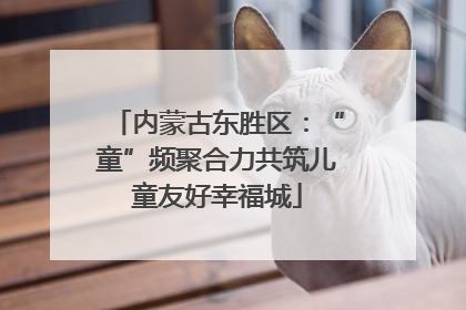 内蒙古东胜区：“童”频聚合力共筑儿童友好幸福城