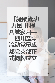 凝聚流动力量 扎根蓉城家园——四川盐亭流动党员成都党支部正式揭牌成立