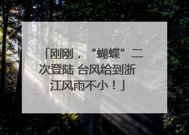 刚刚，“蝴蝶”二次登陆 台风给到浙江风雨不小！