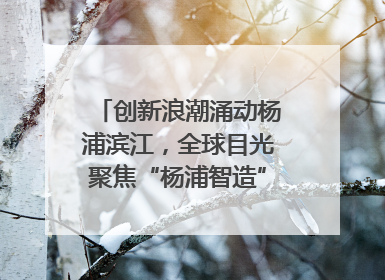 创新浪潮涌动杨浦滨江，全球目光聚焦“杨浦智造”｜相约复兴岛