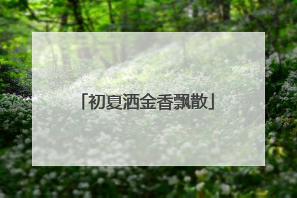 初夏洒金香飘散