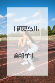初夏鸟儿育雏忙