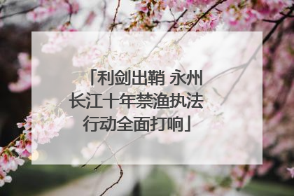 利剑出鞘 永州长江十年禁渔执法行动全面打响