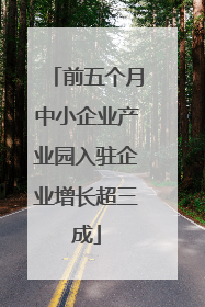 前五个月中小企业产业园入驻企业增长超三成